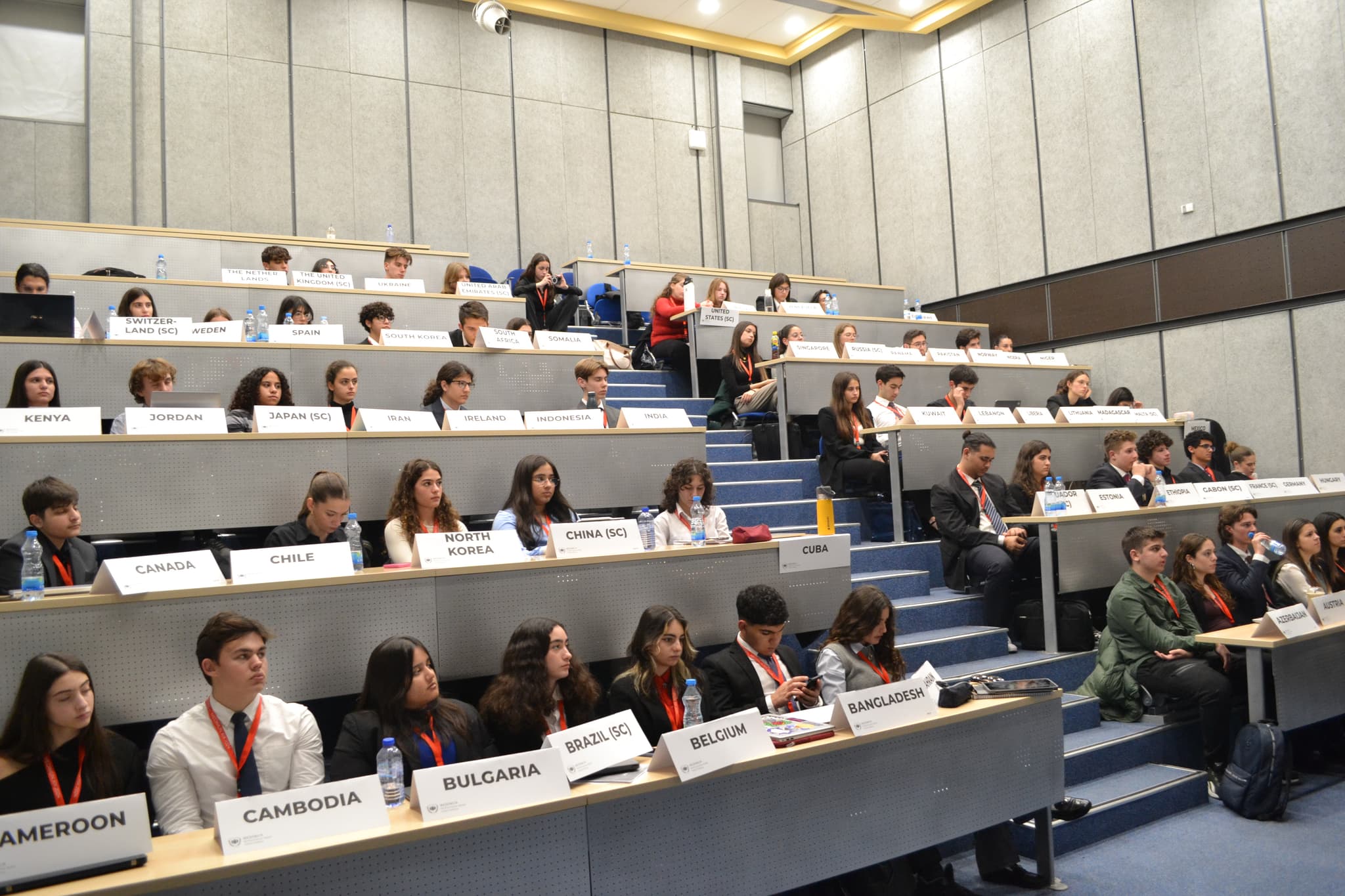 Delegates and the committee chairs in session
