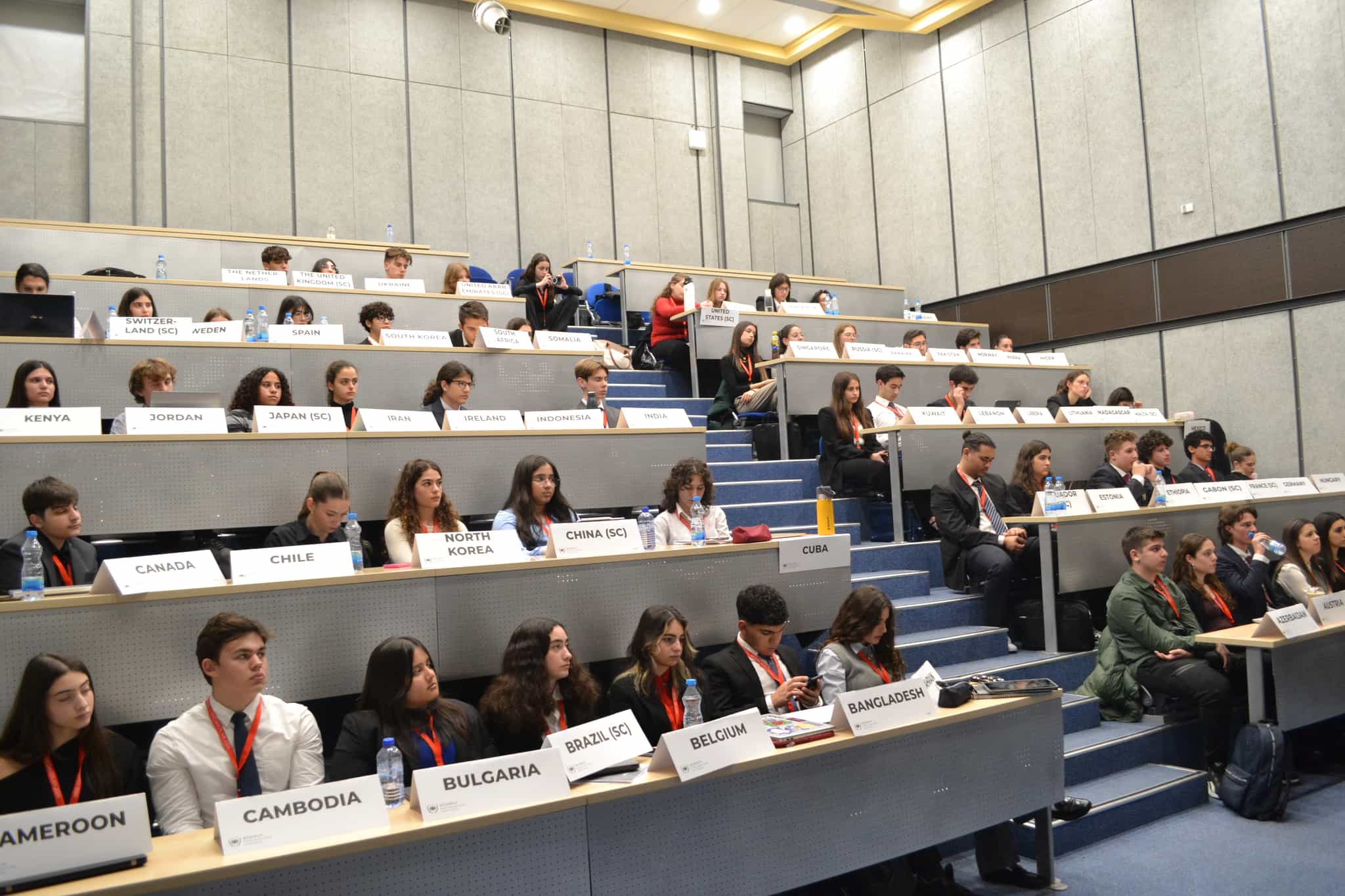 Delegates and the committee chairs in session