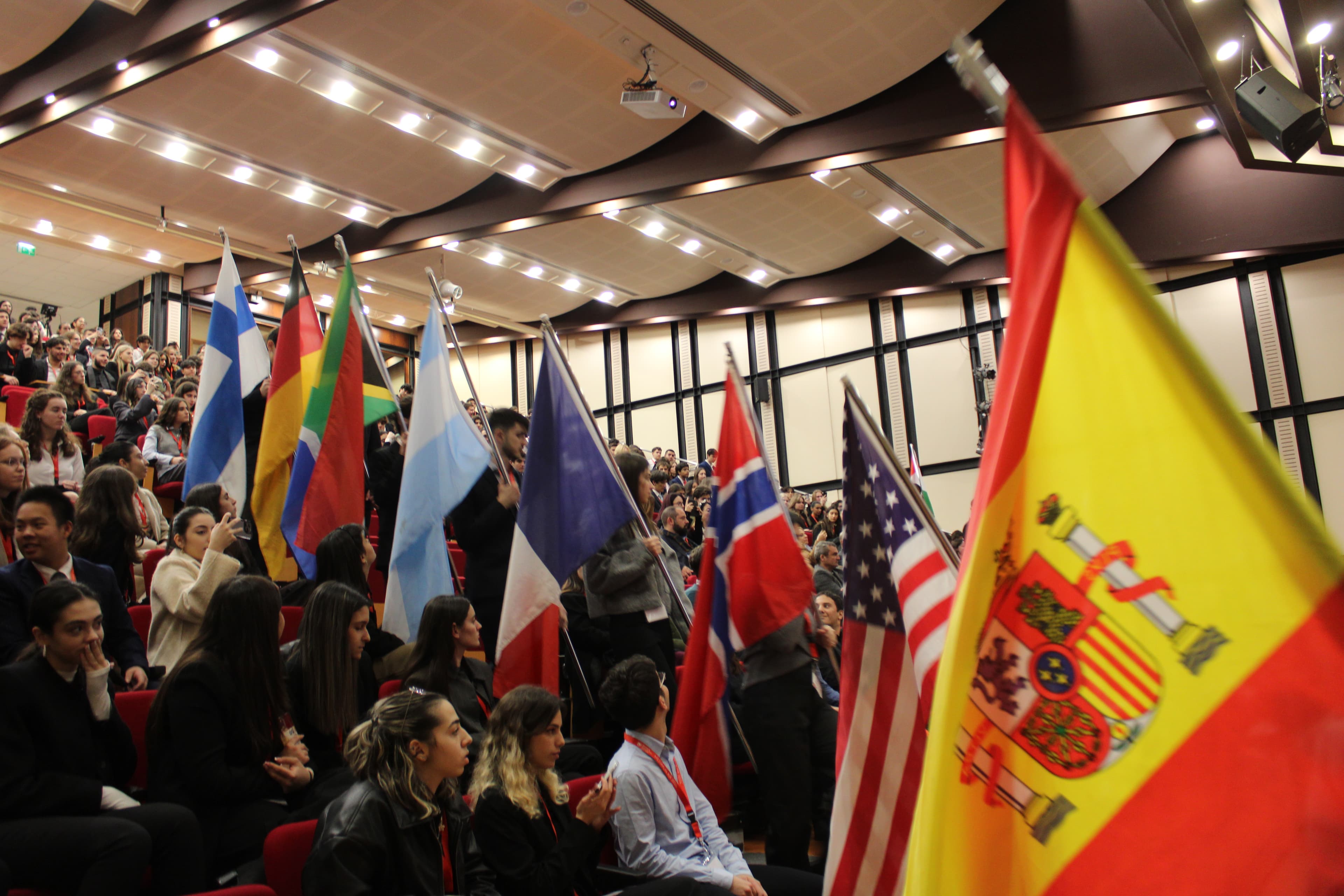 Plenary flags